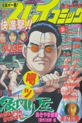 Cover of No. 13, 1995