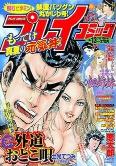 Cover of No. 13, 2003