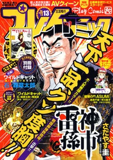 Cover of No. 13, 2010