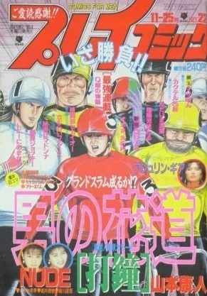 Cover of No. 22, 1993