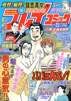 Cover of No. 22, 2004