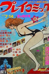 No. 13, 1977