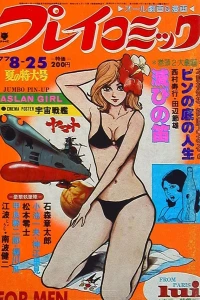 No. 16, 1977