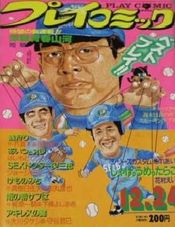 Cover of No. 24, 1981