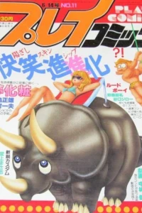 No. 11, 1984