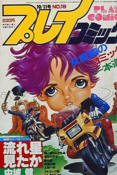 Cover of No. 19, 1984