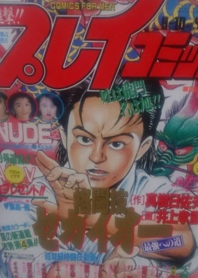 Cover of No. 17, 1992