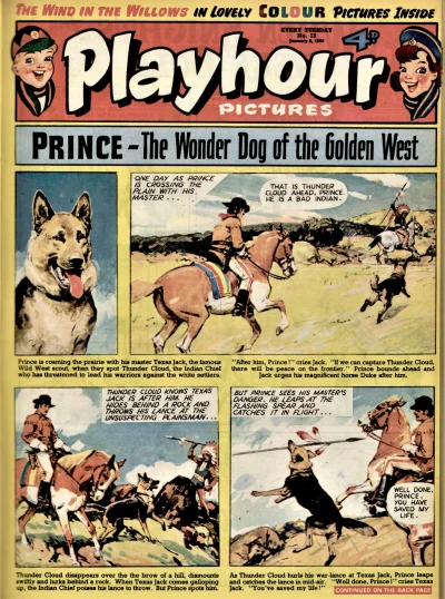 Cover of Issue #13