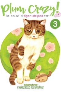 It's Raining Cats and Kittens!