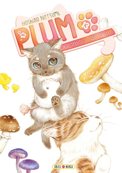 Cover of Tome 13