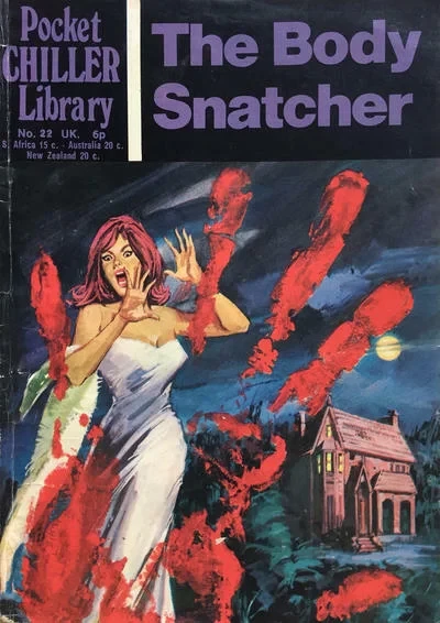 Cover of Issue #22