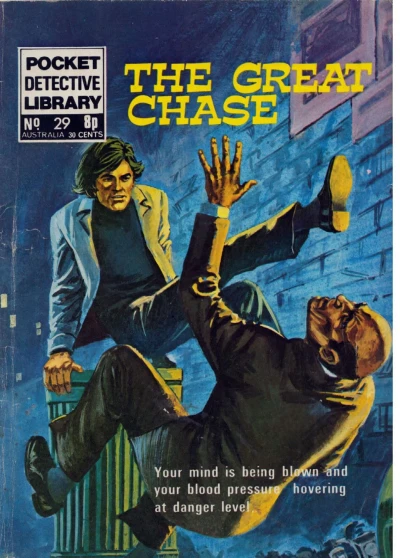 Cover of Issue #29