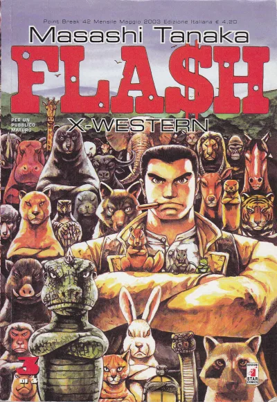 Cover of Flash 3