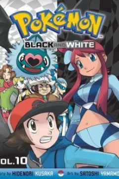 Vol. 10