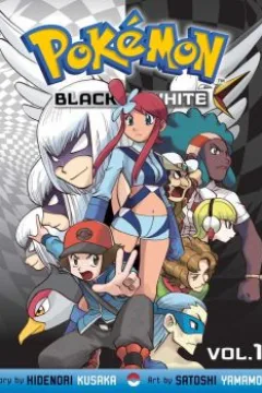 Vol. 11