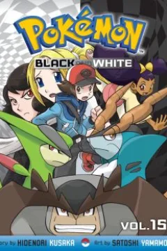 Vol. 15