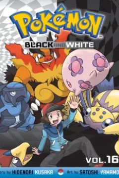 Vol. 16