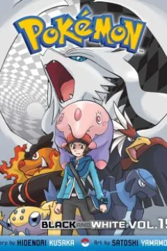 Vol. 19