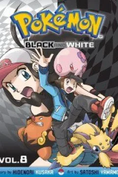 Vol. 8
