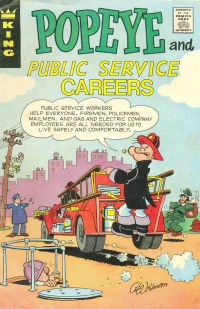 Cover of Public Service Careers