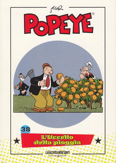 Cover of L'Uccello della pioggia