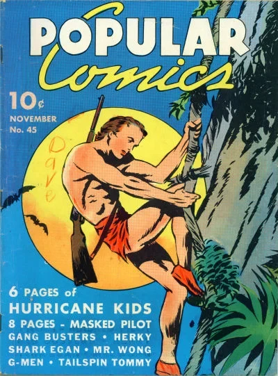 Cover of Issue #45
