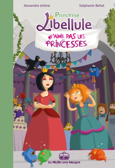 Cover of N'aime pas les princesses !