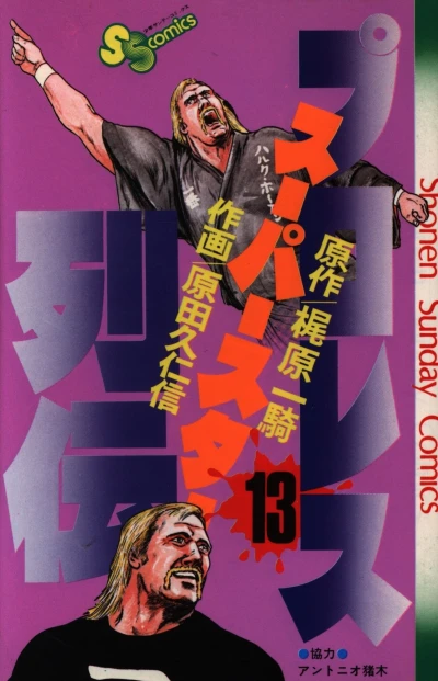 Cover of Vol. 13