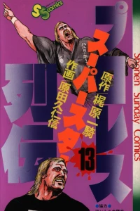 Vol. 13