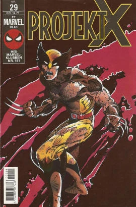 Cover of Issue #29