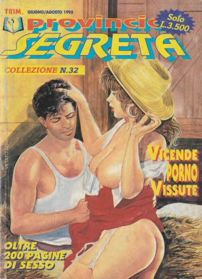Cover of Vicende porno vissute
