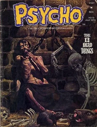 Cover of Issue #13