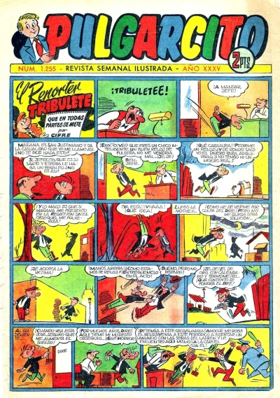 Cover of Issue #1255