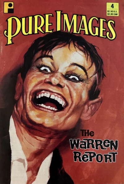 Cover of The Warren Report