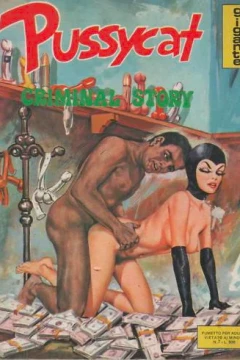 CRIMINAL STORY