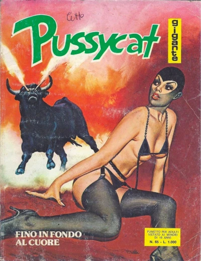 Cover of FINO IN FONDO AL CUORE