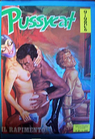 Cover of IL RAPIMENTO