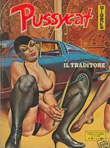 Cover of IL TRADITORE