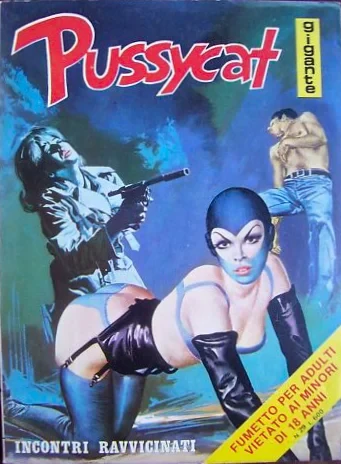 Cover of INCONTRI RAVVICINATI