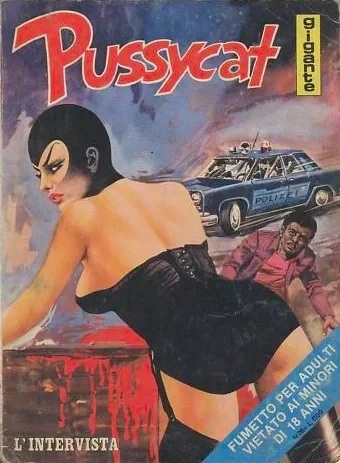 Cover of L'INTERVISTA