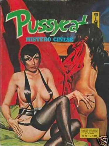 Cover of MISTERO CINESE
