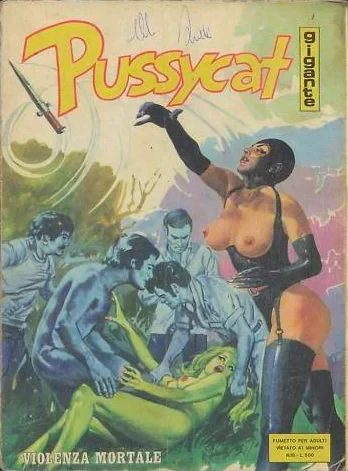 Cover of VIOLENZA MORTALE
