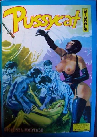Cover of VIOLENZA MORTALE