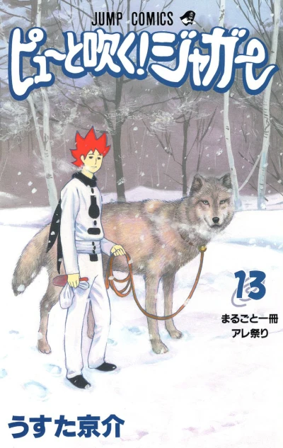 Cover of Vol. 13