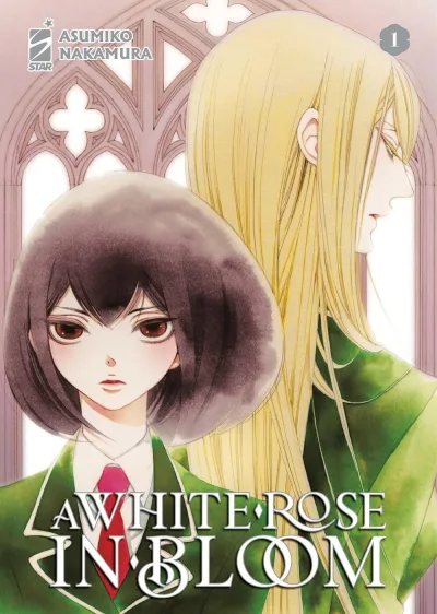 Cover of A white rose in bloom 1