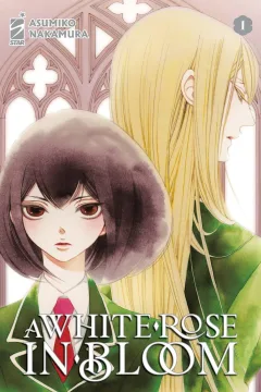 A white rose in bloom 1
