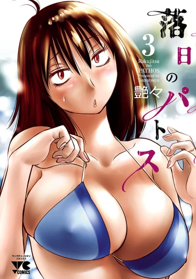 Cover of Vol. 3