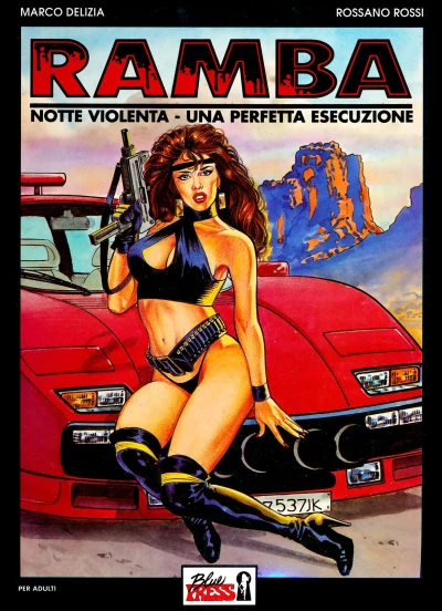 Cover of Notte violenta; Una perfetta esecuzione