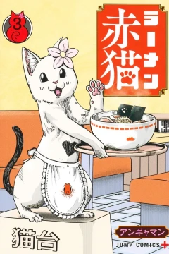 Vol. 3