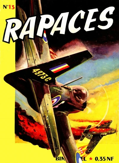 Cover of Issue #13